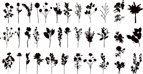 Wall Mural - spring flowers set of black silhouettes, vector