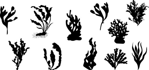 Wall Mural - algae set of black silhouettes, vector
