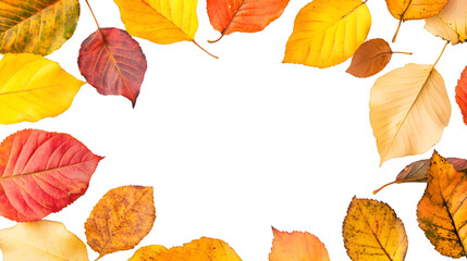 Aufkleber - Vibrant autumn leaves creating a decorative frame on a transparent background, perfect for fall-themed designs