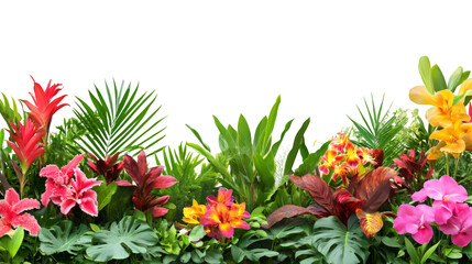 Poster - Tropical vegetation forming lush green border, verdant plant elements providing natural frame with transparent isolated backdrop