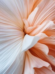 Poster - Soft Botanical Minimalism Peach and White Floral Macro - Organic Aesthetic for Wellness Branding and Sensory Design Inspiration