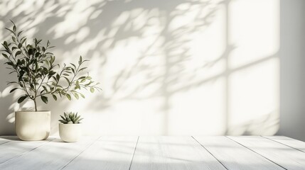 Poster - Serene Indoor Plants on a White Wooden Surface with Soft Shadows Creating a Calm Ambiance Perfect for Nature and Wellness Themes