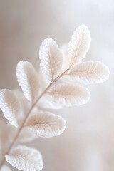 Poster - A frosted glass fern stem displays an ethereal quality with translucent leaves that gently reflect soft light. This fine-art botanical piece offers a luxurious and delicately serene appearance