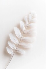 Poster - A frosted glass fern stem exhibits soft light reflections, creating an ethereal look. This luxurious botanical piece is isolated against a pure white background, adding elegance and simplicity
