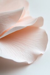 Poster - Soft pastel pink petal radiates an ethereal glow, showcasing blurred edges that enhance its delicate charm against a clean white background, evoking a dreamy botanical elegance