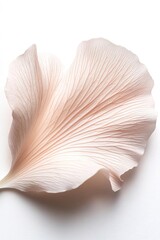 Poster - A single delicate pastel pink petal rests gracefully against a white background, displaying soft blurred edges and an ethereal glow that enhances its botanical elegance