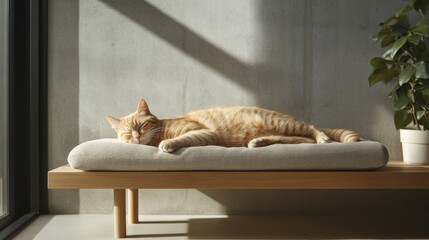 Poster - A ginger cat stretched out on a modern minimalist bed, enjoying a deep nap in natural morning light.