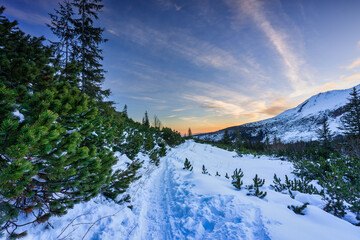 Fototapete - Winter landscape of the Tatra Mountains in early morning, Poland
