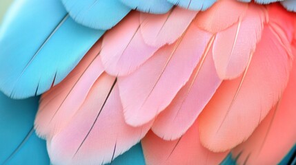 Poster - Colorful feathers of the parrot create a beautiful vibrant image