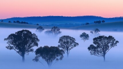 Poster - Trees Are Silhouetted Against A Misty Landscape At Dawn