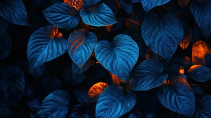 Poster - Blue And Orange Illuminated Leaves Create a Stunning Botanical Pattern