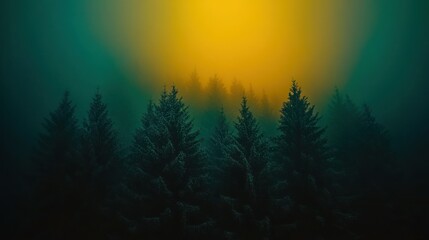 Poster - Dense Evergreen Trees Silhouetted Against a Misty Yellow Sky