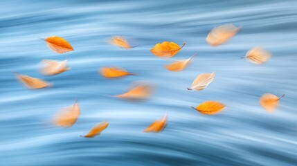 Poster - Floating Leaves Are Gracefully Dancing Against a Blue Blurred Backdrop