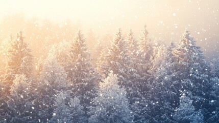 Poster - Snow covered evergreen trees in the bright sunny winter day