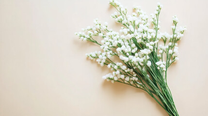 Poster - Delicate white blossoms with slender green stems resting softly on neutral background, embodying minimalist floral elegance