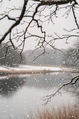 Wall Mural - snowy winter landscape viewed through bare branches, showcasing a calm lake and falling snow.