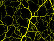 © Gendis Studio - Vibrant microscopic image showcasing intricate neural pathways illuminated in bright yellow against a dark background