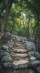 Poster - Stone stairs winding through trees in a tranquil forest setting, inviting exploration and discovery