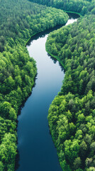 Poster - Serpentine river cutting through lush woodland, revealing verdant landscape and sinuous waterway from overhead perspective