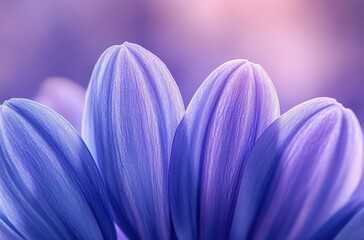 Poster - Delicate Close-Up of Purple Flower Petals Showcasing Textures and Colors in Soft Lighting Against a Gentle Blurred Background
