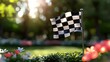 © Naret - Race goals achieved at the checkered flag outdoor sports event nature setting ground level view
