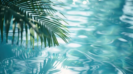 Wall Mural - tropical palm leaves above shimmering water