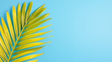 yellow palm frond on blue background