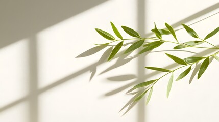 Poster - Captivating high contrast image showcasing the intricate interplay of light and shadow on a lush arrangement of plant leaves