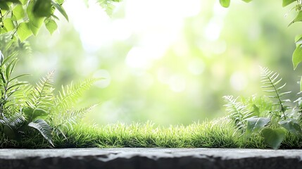 Aufkleber - Lush vibrant greenery with a soft artful bokeh effect creating a beautiful serene and tranquil nature background  The blurred out of focus foliage fades gently into the frame