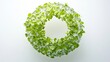 © savittree - Interconnected green leaves creating a balanced circular shape, white backdrop, modern and clean.