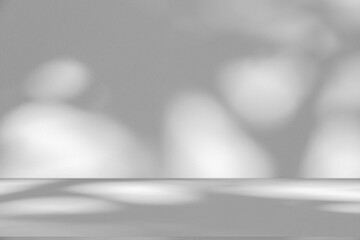 Poster - Wall interior background, studio and backdrops show products.with shadow from window color white and grey. background for text insertion and presentation product	