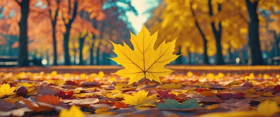 Poster - Vibrant autumn park scene featuring a prominent yellow maple leaf among a colorful array of fallen leaves, capturing the season's beauty.