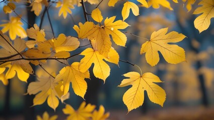 Poster - Golden autumn leaves on a tree branch capturing the essence of fall with vibrant colors and a serene blurred background.