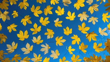 Poster - Vibrant autumn leaves scattered against a bright blue sky creating a stunning natural pattern in a serene and peaceful setting.