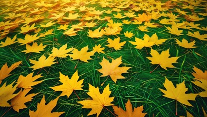 Poster - Autumn scene featuring vibrant yellow maple leaves scattered on lush green grass creating a picturesque seasonal landscape.
