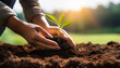 © Reeze - Close-Up of Hands Planting a GreenSeedling in Soil