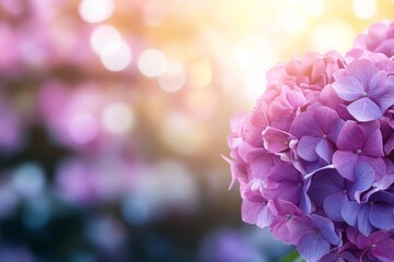 Poster - A close-up view reveals a lush pink hydrangea blossom set against a softly blurred pastel backdrop, with ample space for adding personalized text or messages
