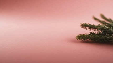 Poster - A fir leaf rests against a soft pastel background, showcasing intricate needle details illuminated by gentle natural light, with ample space to the right