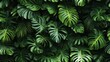 © ANUPONG WANSUKH - Green tropical plant wallpaper featuring lush leaves and vibrant foliage for interior decoration