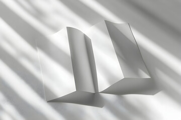 Poster - high angle studio shot of unfolded blank white brochure with light