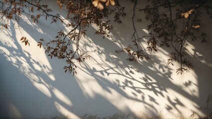Poster - Backdrop of tree branches casting leaf shadows. Ideal for wallpaper and design, featuring natural foliage, dark silhouettes, and sunlight patterns on a white surface.