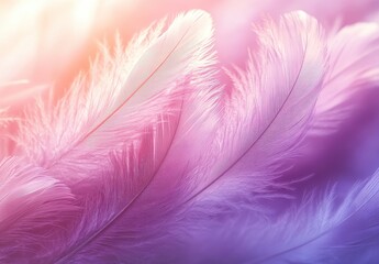 Poster - Soft and Delicate Feathers in Gradient Colors of Pink and Purple with a Dreamy and Ethereal Background for Gentle and Serene Visual Concepts