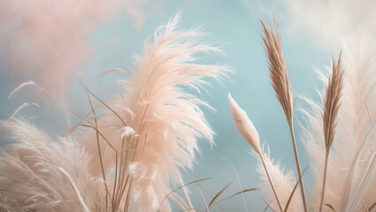 Poster - Layers of reeds, reed seeds, and dry reed in soft pastel shades outdoors. Pampas grass features prominently as a light reed variety. An abstract representation of nature with a beautiful pattern in...