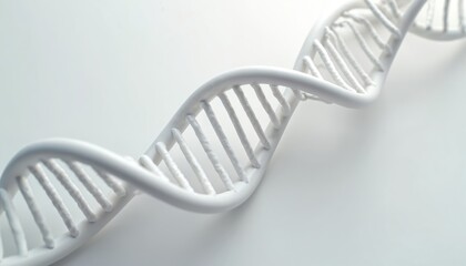 Aufkleber - White 3d DNA helix strand on clean white background. Deoxyribonucleic acid molecule illustration, genetic biotechnology science, molecular biology, chromosome structure, gene technology. Medical