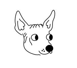 Wall Mural - vector isolated xolo xoloitzcuintle dog breed head portrait colorless black and white contour line e