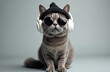 © miss irine - Funny gray cat wears black hat vintage round sunglasses, listens to music in white wireless headphones on gray background. Creative animal style concept. Cute feline hipster portrait in studio.