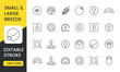 © GrandDesign - A set of vector icons representing small and large breeds, including symbols of size and weight differences, lightweight and heavy indicators, paws and check marks, with an editable stroke