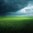 © malayeka - Dramatic storm clouds gathering over a vibrant green field.
