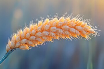 Poster - A detailed shot of a plant's leaves and stems, with a blurred background