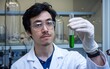 © BackgroundStudio - Scientist examines green liquid in lab
